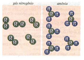 molecula